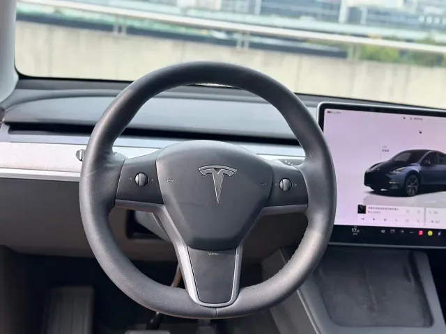 Tesla Model Y — Фото автомобиля 9