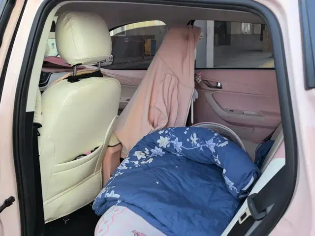 Changan Benben E-Star — Фото автомобиля 11