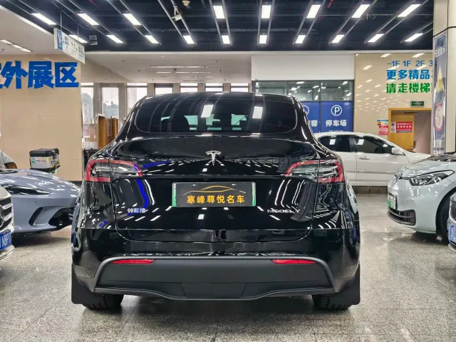 Tesla Model Y — Фото автомобиля 4
