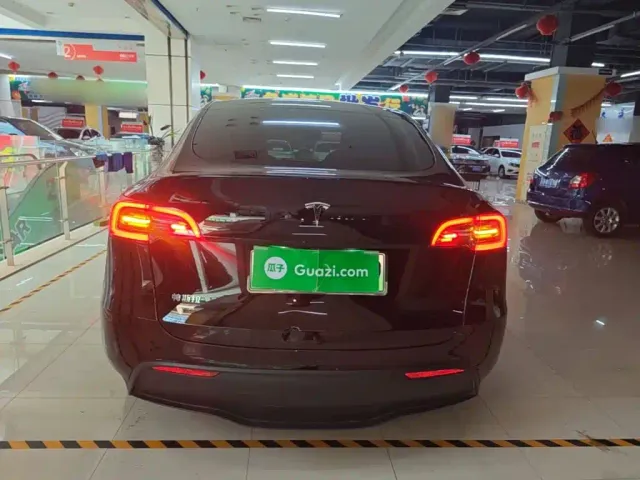 Tesla Model Y — Фото автомобиля 5
