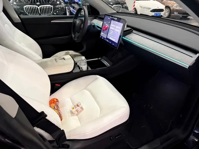 Tesla Model Y — Фото автомобиля 9
