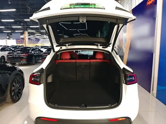 Tesla Model Y — Фото автомобиля 18