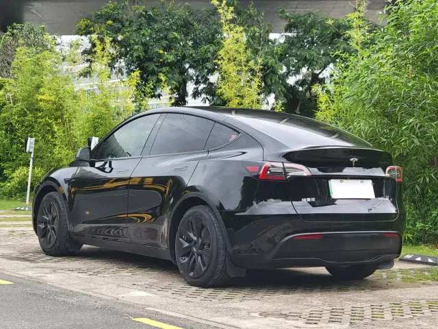 Tesla Model Y — Фото автомобиля 16