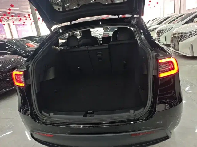 Tesla Model Y — Фото автомобиля 14