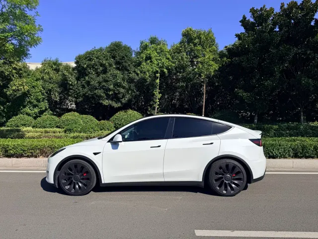 Tesla Model Y — Фото автомобиля 6