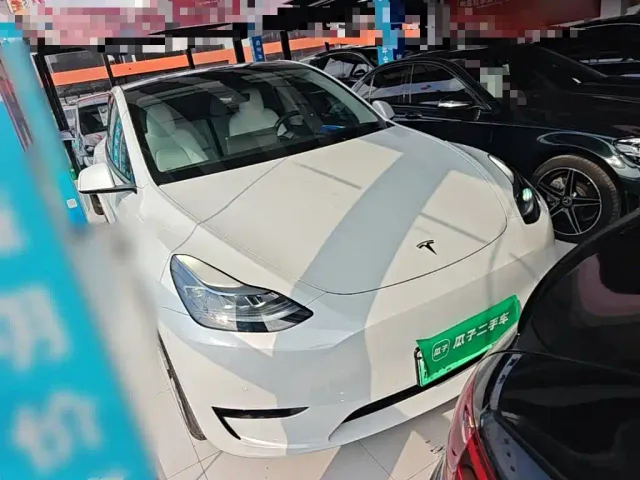 Tesla Model Y — Фото автомобиля 3