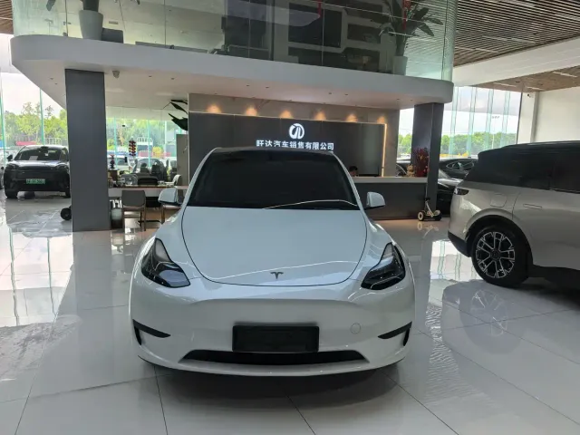 Tesla Model Y — Фото автомобиля 2