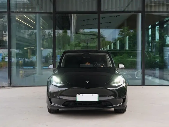 Tesla Model Y — Фото автомобиля 2