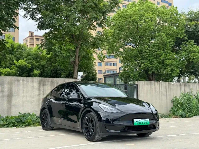 Tesla Model Y — Фото автомобиля 2