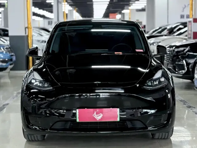 Tesla Model Y — Фото автомобиля 2