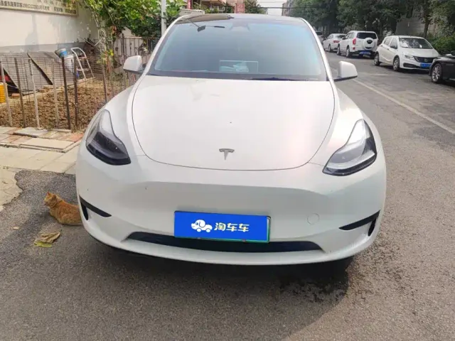 Tesla Model Y — Фото автомобиля 2