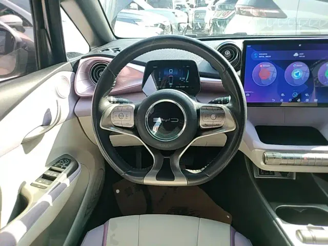 BYD Dolphin — Фото автомобиля 10