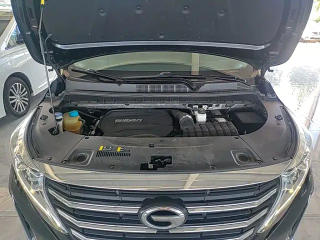 GAC Trumpchi M8 — Фото автомобиля 19