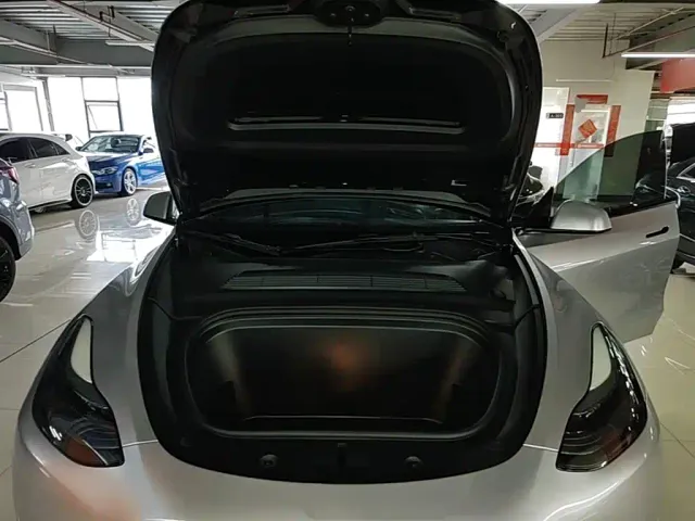 Tesla Model Y — Фото автомобиля 19