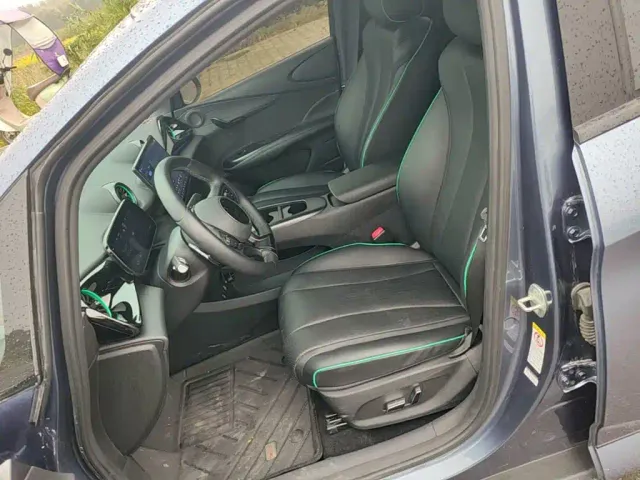 BYD Dolphin 2025 Smart Drive Edition 410km Fashion Version — Фото автомобиля 14