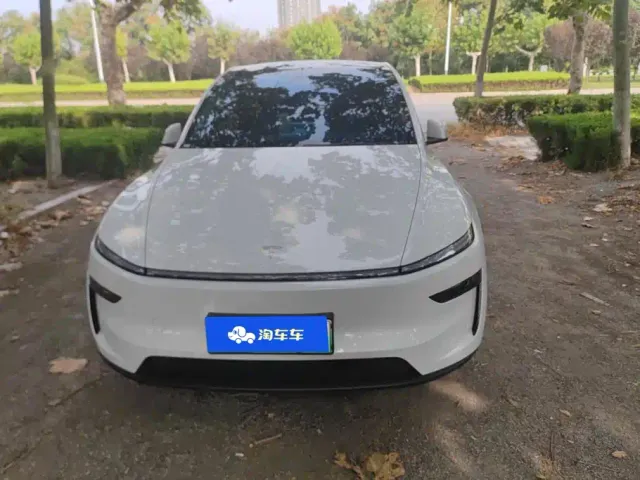 Tesla Model Y — Фото автомобиля 2