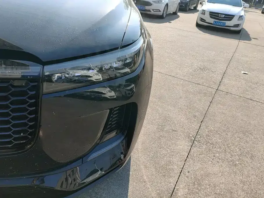 Li Auto Li ONE 2021 Extended Range 6-Seater — Фото автомобиля 5