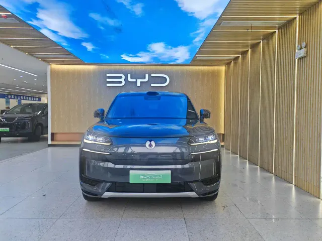 Denza N9 — Фото автомобиля 2