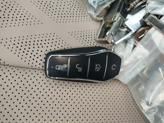 BYD Dolphin — Фото автомобиля 8