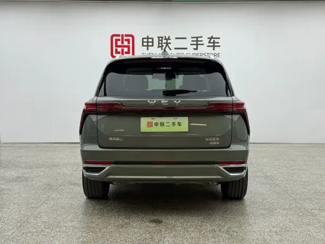 Wey Lanshan — Фото автомобиля 2