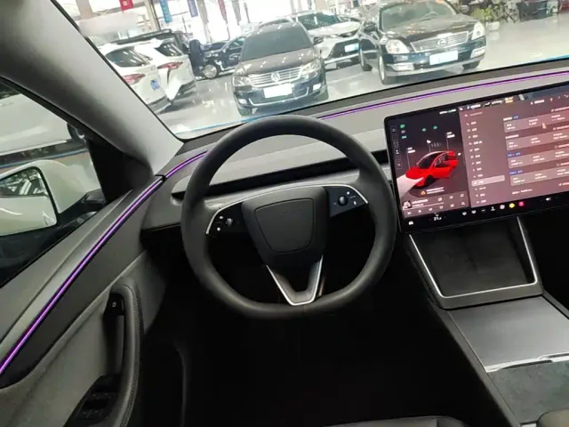 Tesla Model Y — Фото автомобиля 10