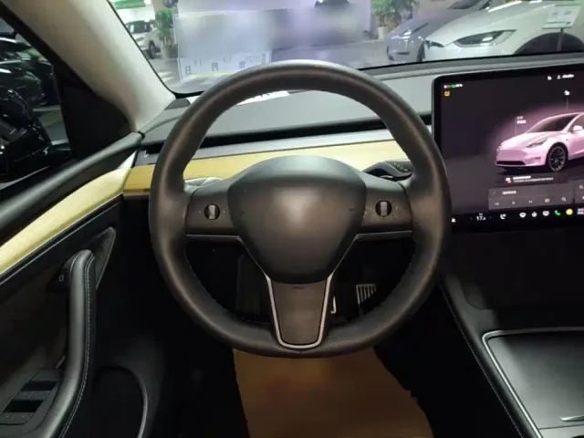 Tesla Model Y — Фото автомобиля 10