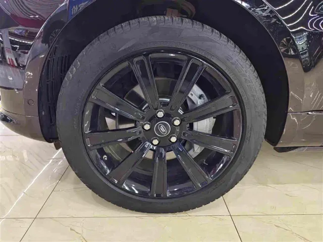 Land Rover Range Rover Sport — Фото автомобиля 10
