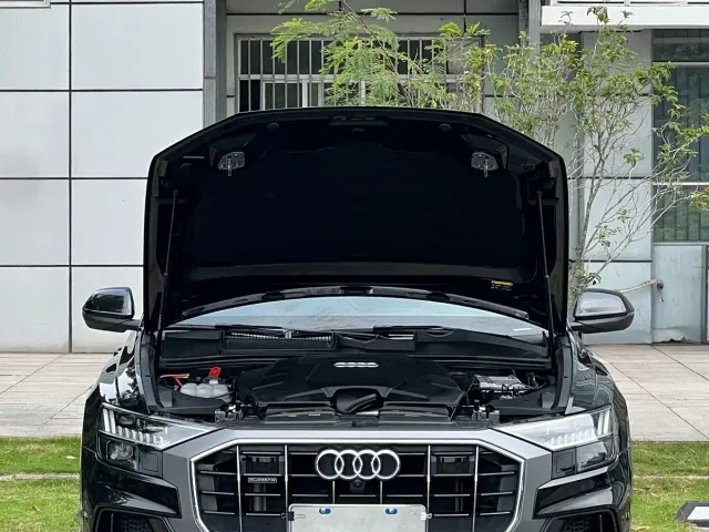 Audi Audi Q8 2023 55 TFSI Luxury Sport — Фото автомобиля 9