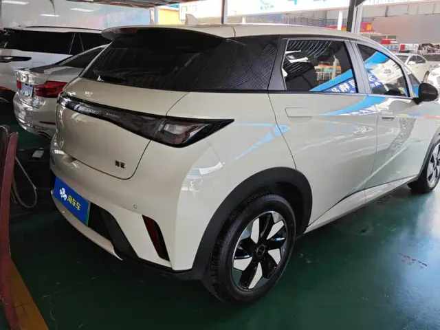 BYD Dolphin — Фото автомобиля 3