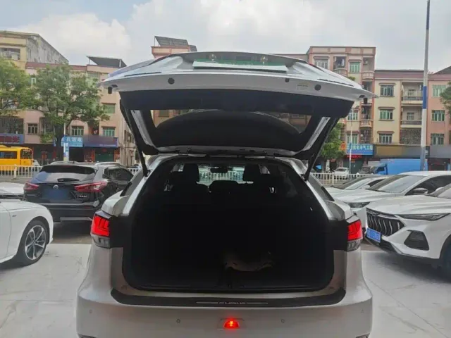Lexus RX — Фото автомобиля 18