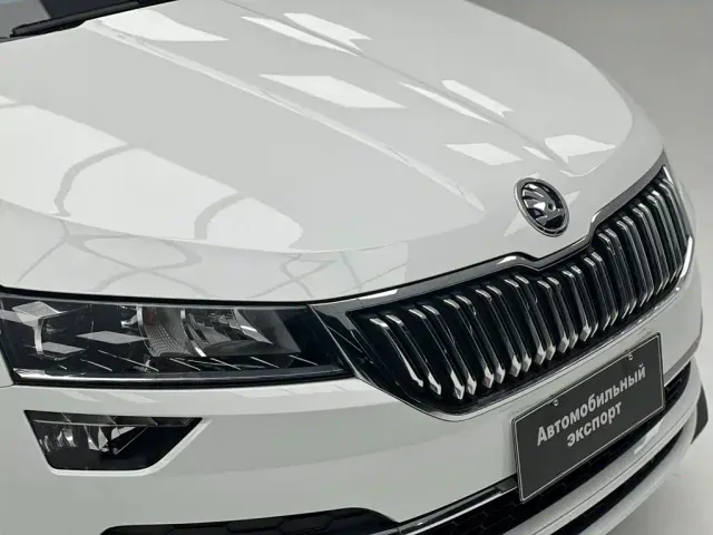 Skoda Karoq — Фото автомобиля 5