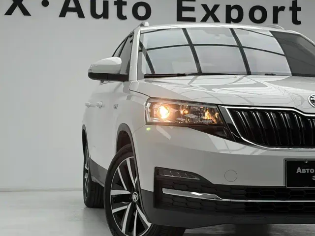 Skoda Kamiq — Фото автомобиля 10