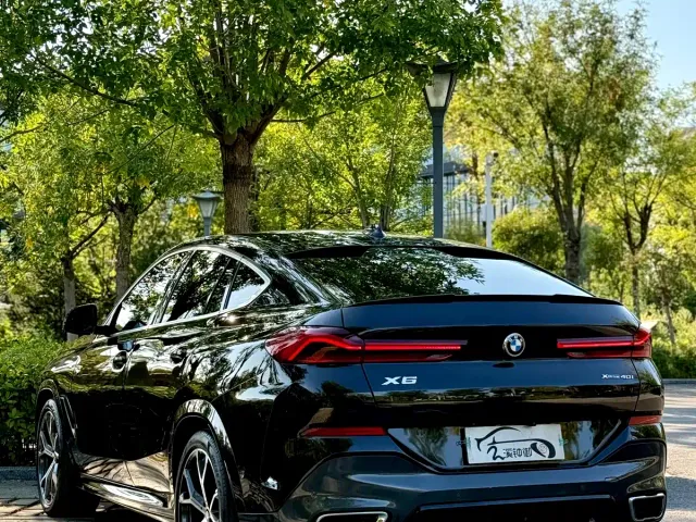 BMW X6 — Фото автомобиля 9