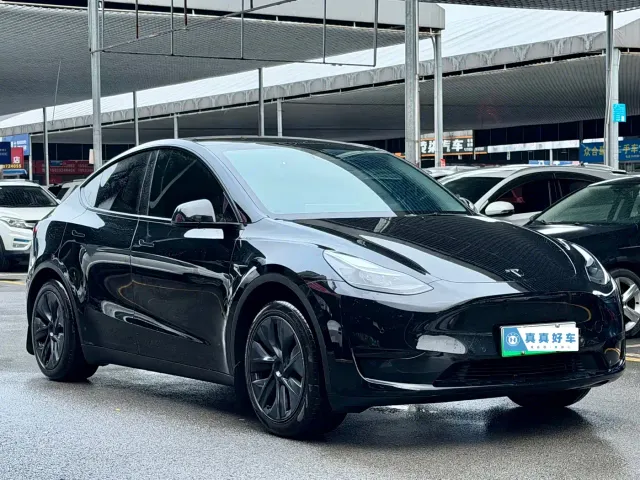 Tesla Model Y — Фото автомобиля 3