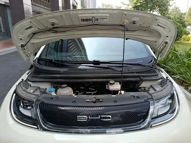 BYD Dolphin — Фото автомобиля 19