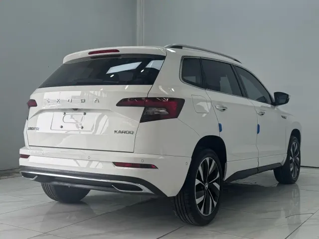Skoda Karoq — Фото автомобиля 6