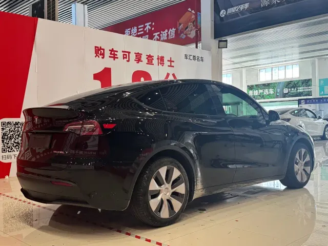 Tesla Model Y — Фото автомобиля 4