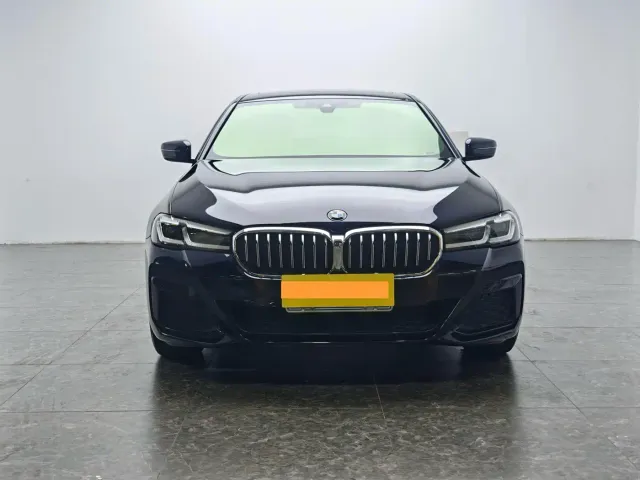 BMW 5 Series — Фото автомобиля 5