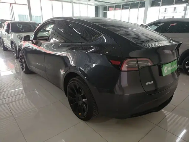 Tesla Model Y — Фото автомобиля 4