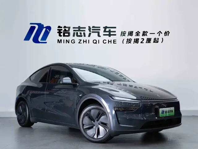 Tesla Model Y — Фото автомобиля 4