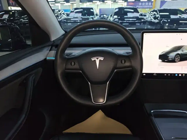 Tesla Model Y — Фото автомобиля 10