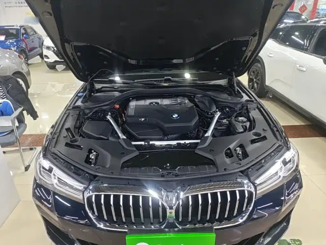 BMW 5 Series — Фото автомобиля 19