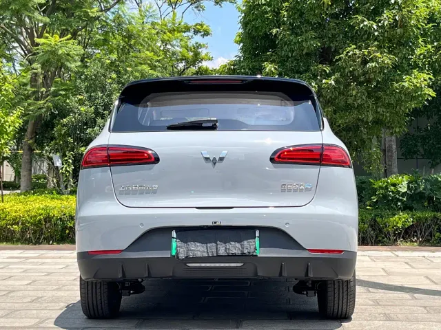 Wuling Binguo PLUS — Фото автомобиля 11