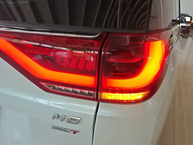 GAC Trumpchi M8 — Фото автомобиля 7