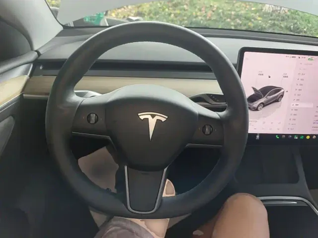 Tesla Model Y — Фото автомобиля 10