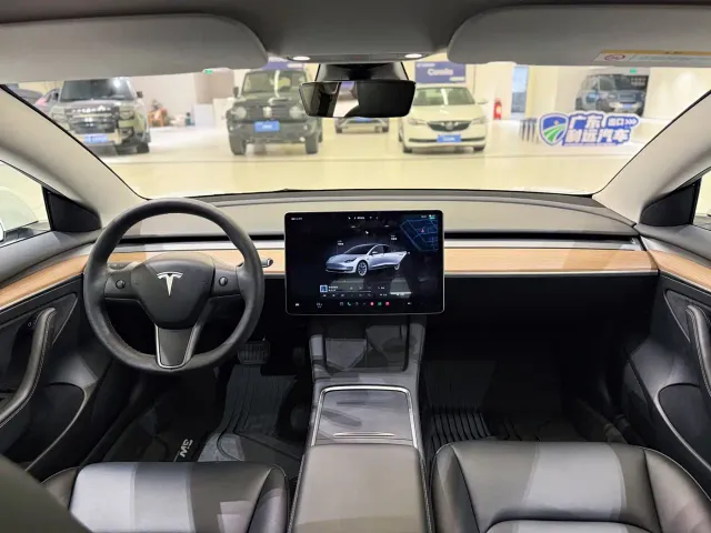 Tesla Model 3 — Фото автомобиля 15