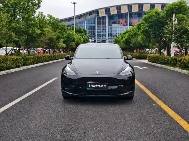 Tesla Model Y — Фото автомобиля 2