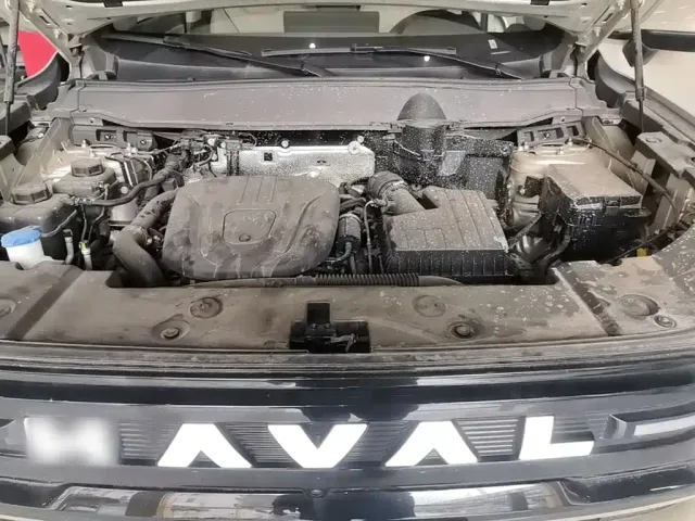 Haval Big Dog — Фото автомобиля 19