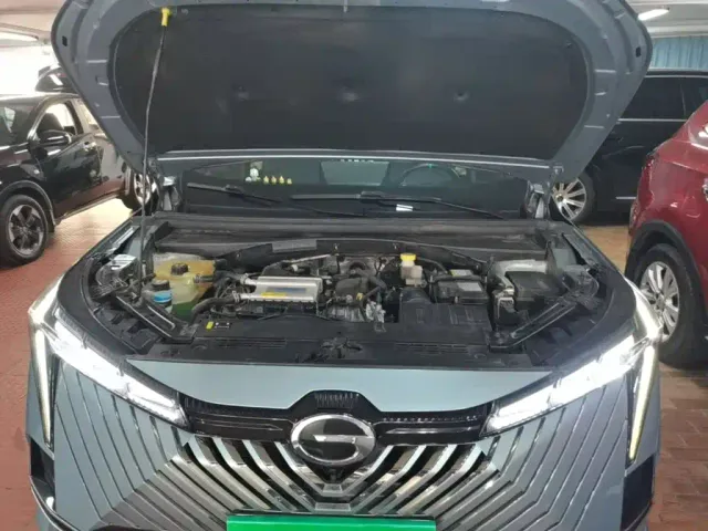 GAC Trumpchi Emkoo — Фото автомобиля 19