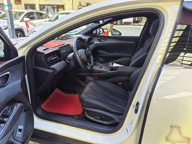 BYD Qin L — Фото автомобиля 12
